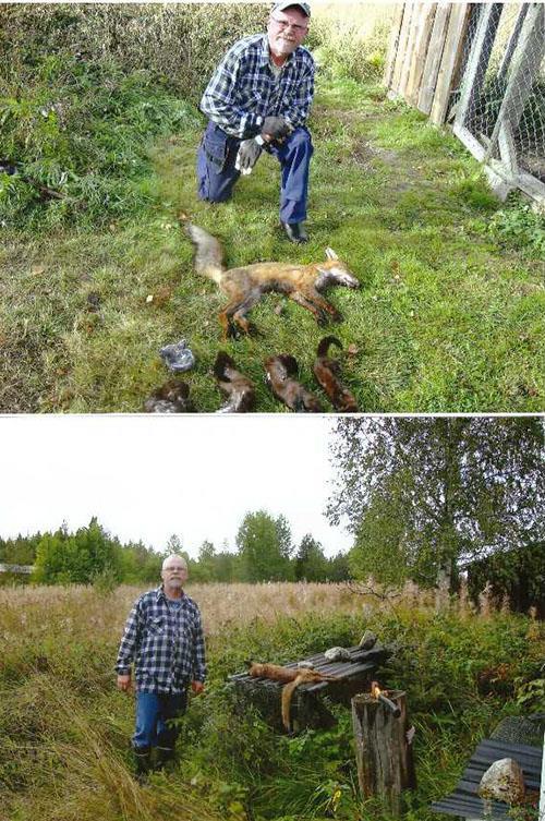 Predatorjakten 2018 Predatortävlingen 2018 är avslutad och Kalle Burman prenumererar i vanlig ordning på första platsen, stort grattis Kalle!