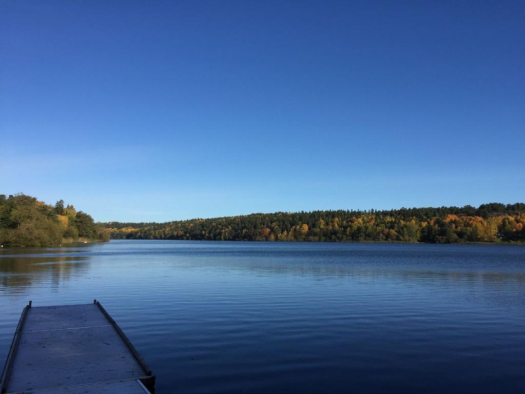 Dags för skräpplockardag! Den 4 maj arrangeras Nordiska kusträddardagen tillsammans med våra nordiska grannländer.