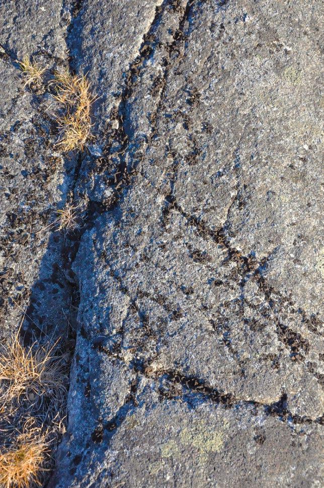 Följ med på Geologins dag Geologisk vandring i Törnskogen längs stigen Urtid Istid Nutid. Vi tittar på bergarter, landskapets utveckling efter istiden och människans påverkan. Medtag matsäck.