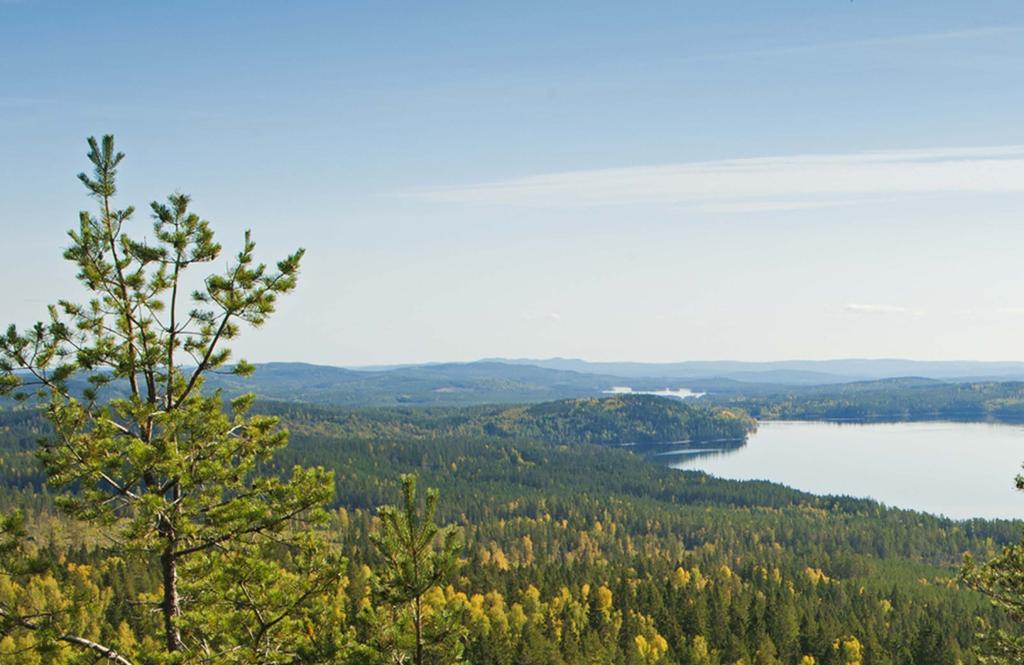 Så här fungerar Stora Ensos miljöcertifiering Att certifiera sin skog görs enkelt genom ett medlemskap i Stora Enso Skogs gruppcertifikat.