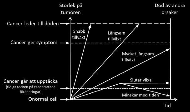 En gemensam genomgång i klassen bör göras så att man försäkrar sig om att eleverna förstått och kan tolka figur 2, innan de börjar med uppgift 2. FIGUR 3.