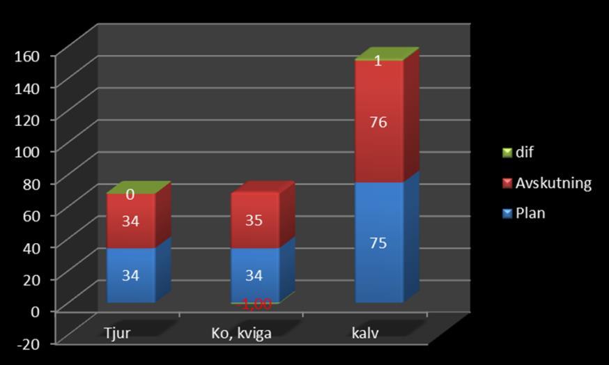 13 Genomgång av