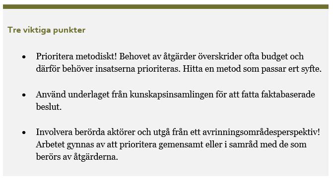 STEG 4: PRIORITERA Steg 4: att
