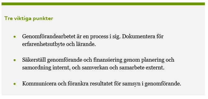STEG 5: GENOMFÖRA Steg 5: Genomföra att