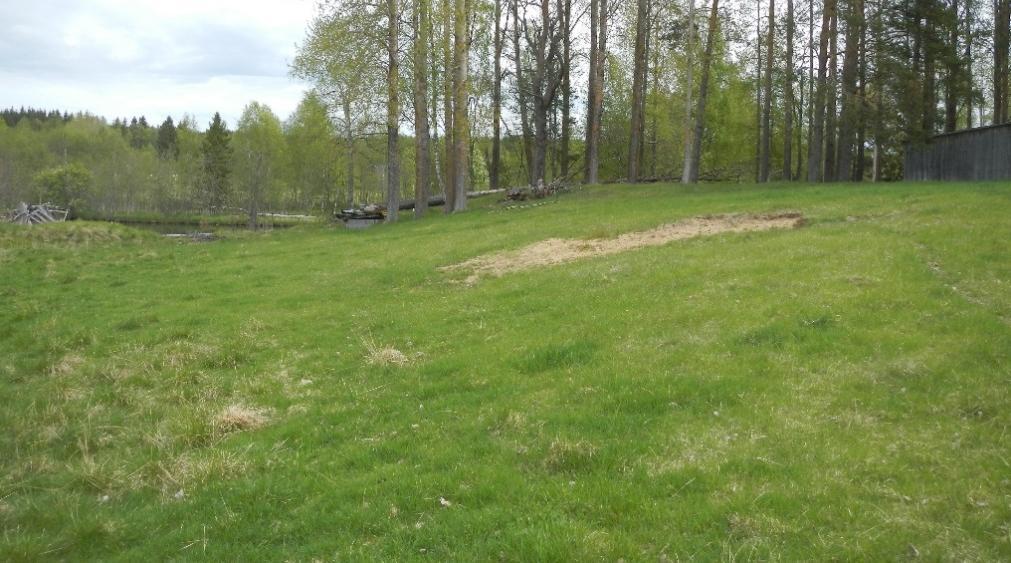 Bilaga 3 (13/16) Figur 20. Åsen som löper mellan huset och ån.