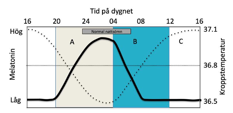 Figur 2. Dygnskurva för melatonin = fylld linje och kroppstemperatur (KT) = punktlinje. Ljus som ges efter klockan 04 (B) ger en tidigareläggning av rytmen (när KT ökar) och dämpar melatoninhalten.