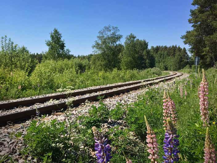 De som står längst från arbetsmarknaden ska få möjlighet till egen försörjning genom individanpassade lösningar.