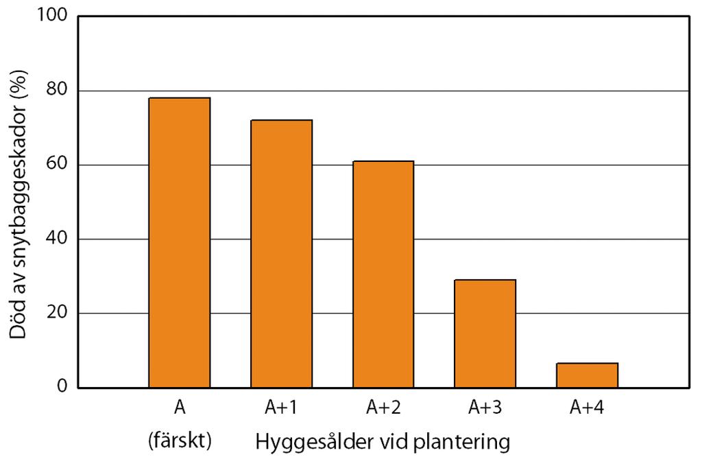 2.4.1 Hyggesvila Hyggesvila innebär att man efter avverkning väntar i tre säsonger innan man plantsätter hygget.