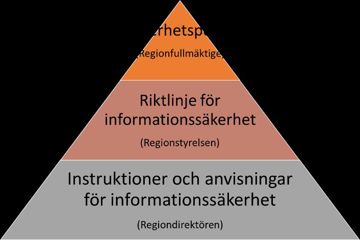 Instruktioner och anvisningar beslutas av Regiondirektören.