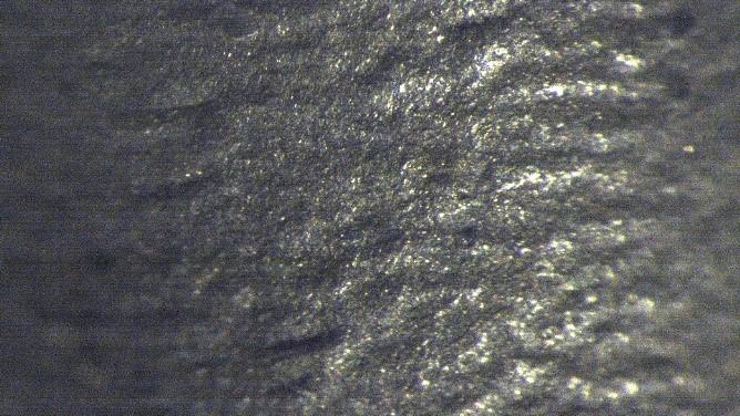 with the diameter 4.98 mm taken with stereomicroscope Wild M10.
