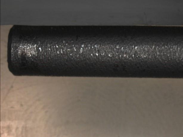 with the diameter of 5 mm taken with a stereo microscope from Zeiss.