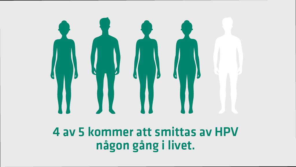 Infektion med HPV (humant papillomvirus) Är den vanligaste sexuellt överförda infektionen hos kvinnor och män Drabbar de flesta sexuellt