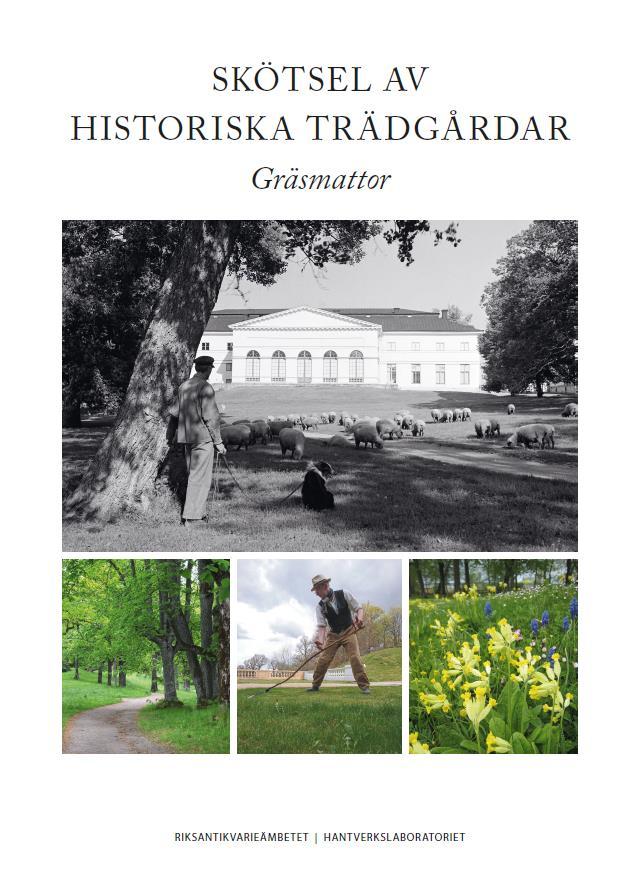 Tisdag 17 oktober, tema grässkötsel Grässkötsel i historisk miljö Föredrag av Klara Holmqvist, sektionschef trädgård på Julita Gård Klara berättade om grässkötseln på Julita gård och om grässkötsel