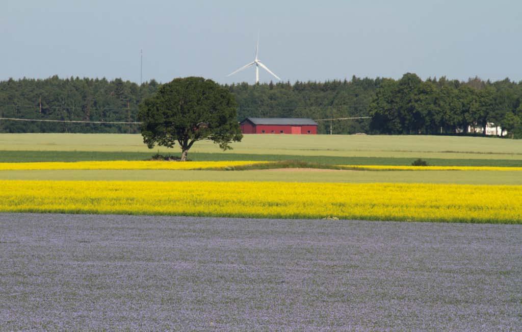 SFO organiserar odlingsutveckling 2014/2015 69