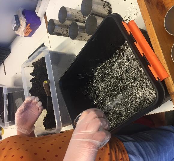 Foto: Örjan Berglund. När alla cylindrar var packade ställdes de i en plastback och började vattenmättas.