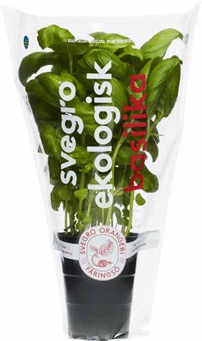 bit, ca 1kg Max 2 köp/hushåll/vecka 18 59 20: