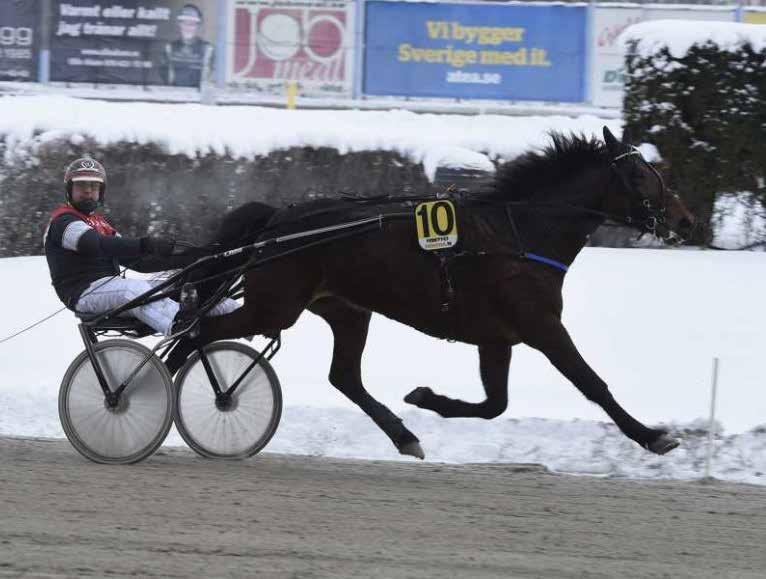 6, Pris: 0 kr