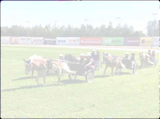RACLETTE 0:9, AK *, K,6 AM Total: --5.00 Bs 9 6,mbr.s.e Gift Kronos - 9: 0-0-0 8,a.000 8: 0 --,a 87.