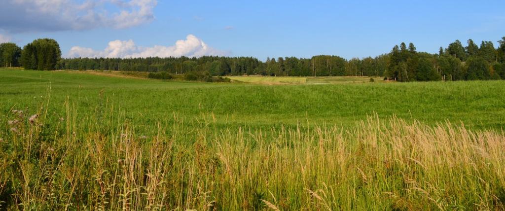 Institutionen för mark och miljö Vattenskyddsåtgärder och vattenmätningar i Svärtaåns avrinningsområde - utvärdering av