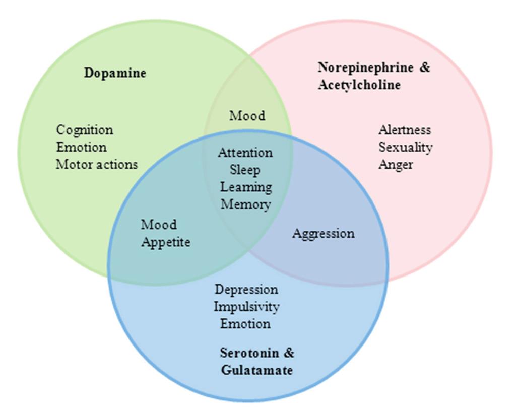 Figure 1 Overlap between functions of neurotransmitters in ADHD Despite the large genetic basis of ADHD, twin studies indicate that pre- and postnatal environmental factors account for 12% 40% of the