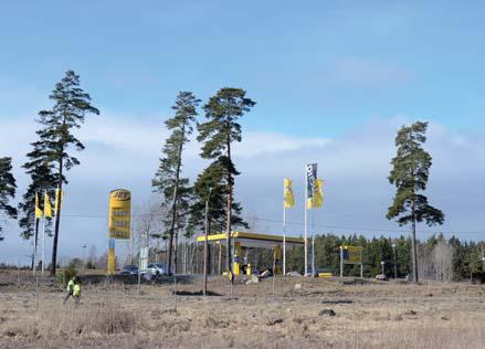 med låg gräs-, ört och buskvegetation som ansluter till det omgivande skogslandskapet.