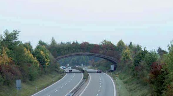 4.5.1 Storvilt Passager för storvilt dimensioneras för älg och ska vara minst 20 meter breda.