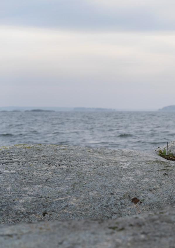 SPEGLAR, SPEGELSKÅP & TILLBEHÖR Ifö Option är vår serie med speglar och belysning. Namnet säger allt valmöjligheter. Ifö Option passar till alla våra möbelserier, även stilmässigt.