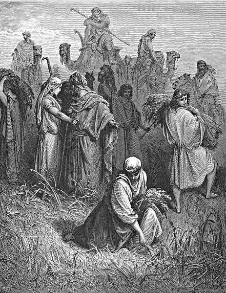 Sources: Diane Jacobson, Ruth in EntertheBible.org Provan, Ian. Old Testament Foundations lectures. Regent College Provan, Ian, V. Philips Long, and Tremper Longman III.
