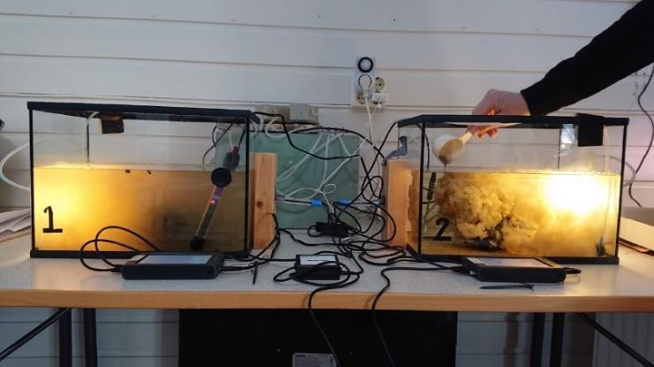 rumstemperatur (15 C o ) Labquest Vandrarmusslor på sten från Mälaren vid 26 graders vatten Experiment 3: filtrering vid olika temperatur Den tredje