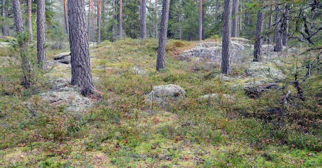 Kontrollpunkt 77 före tävling Här han man valt en kontrollplacering i sidan av
