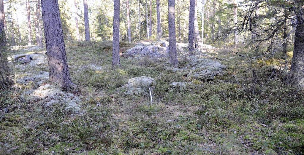 Kontrollpunkt 77 dagen efter tävlingen.