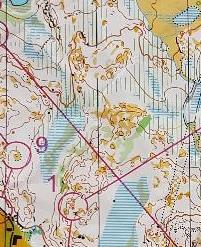 orientering 1(7)