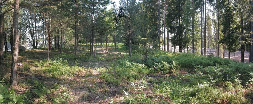 JORDBROMALM 4:2 Arkeologisk förundersökning av stenåldersboplatsen RAÄ 233, Österhaninge sn, Södermanland Arkeologisk