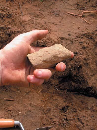 Makrofossilanalys Figur 18.