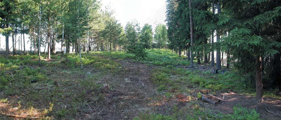 TOPOGRAFI OCH NATURMILJÖ Figur