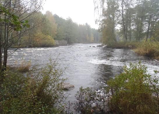 Bottenfauna i vattendrag och sjölitoral Bilaga 14 634A.