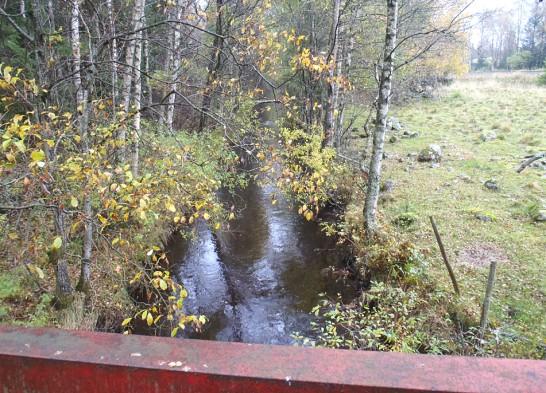 Bottenfauna i vattendrag och sjölitoral Bilaga 14 762.