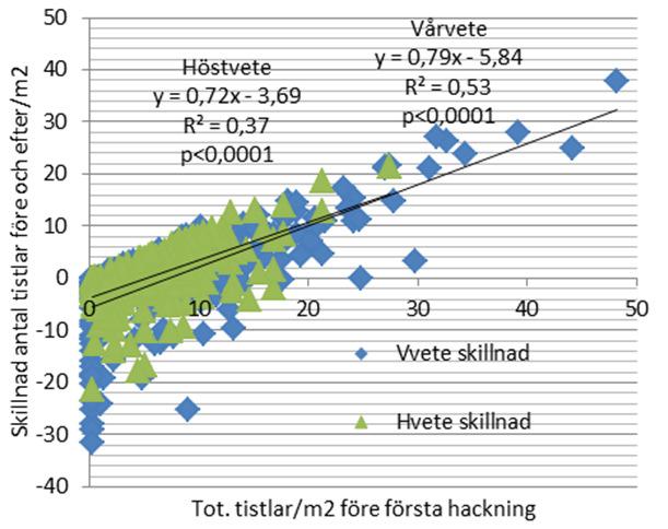 Jämförelse med vanlig sådd på 12,5 cm. Försök i vårvete och höstvete 2014-2016. Finansierat av Stiftelsen Lantbruksforskning. Fältplan A. 12,5 cm radavstånd normal rad - Skärbredd B.