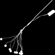 76W D 3 AA (Excl) 150h E F 726-32 STRING MARBLE BALLS with