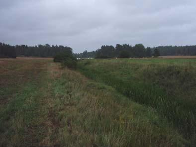 Lokal 4, Lorensberg-Yxbergstorp (vattenbiotopsträcka 8-11) Vid Lorensberg finns en 200 m lång sträcka (vattenbiotopsträcka 8) med stenig mark där fåran sprängts och sänkts mycket kraftigt med syftet