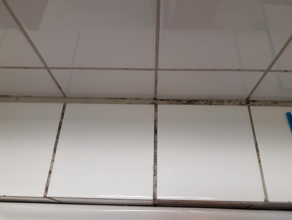 Mögel Mögel i badrumsfogar kan bero på bristande städning.