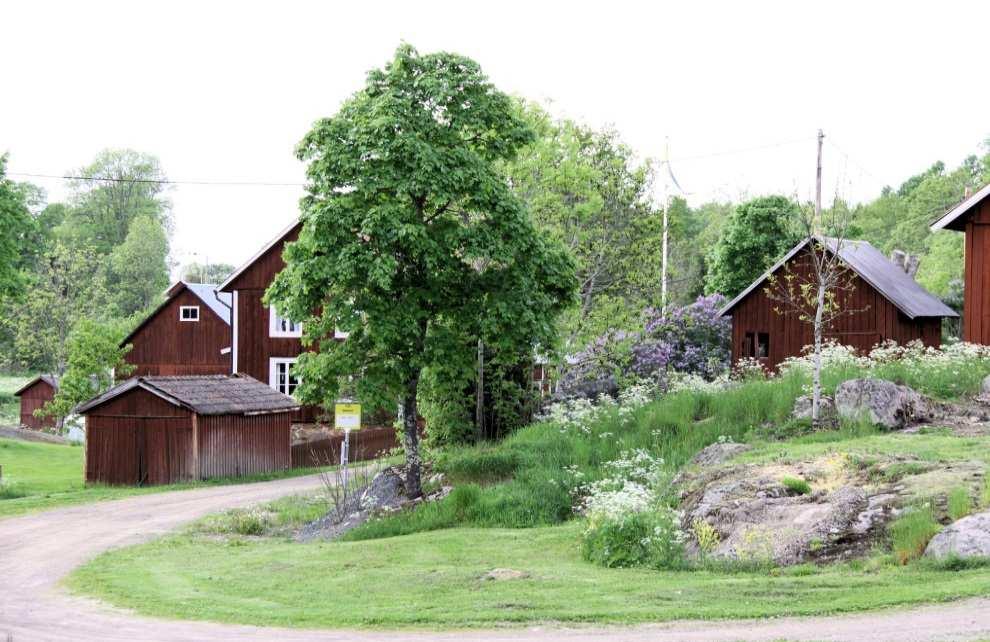 VÄRDEGRUND FÖR VÅRD OCH OMSORG INOM KOMMUNEN Ringhult.