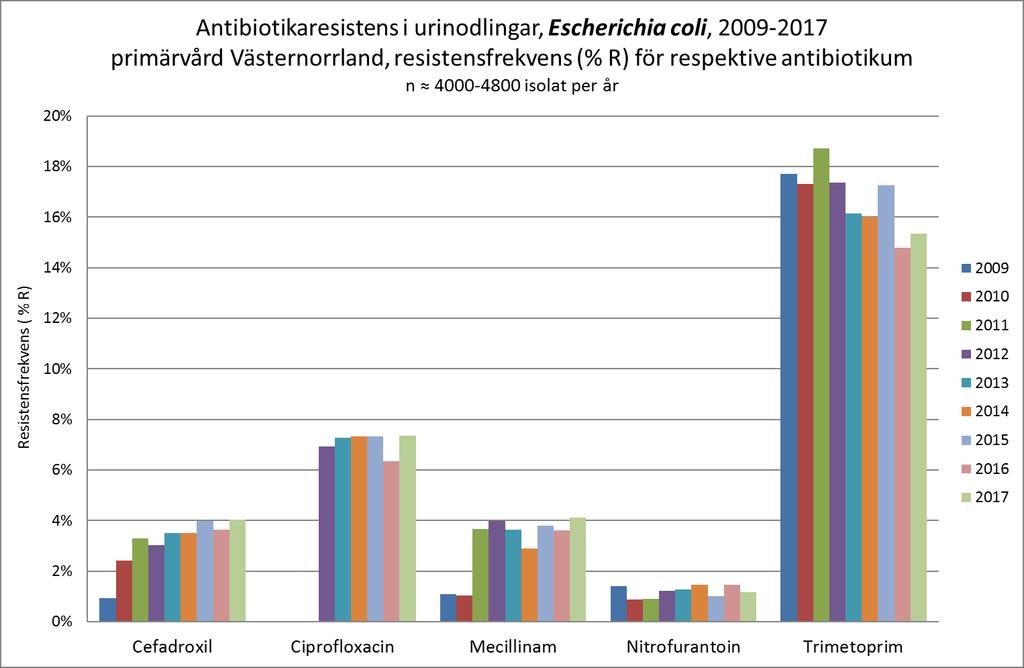 E. coli är den vanligaste urinvägspatogenen.