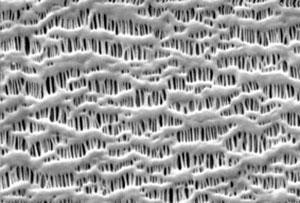 Examples of commercial separators [7] Cell performance Cells are designed for high Power or high Energy Density.
