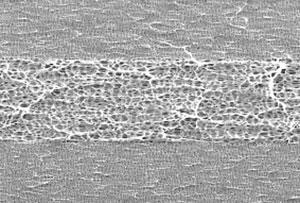 High energy density cells are focused on absorbing and releasing more energy than being able to withstand high currents. Energy depends on amount of active material in the cell.