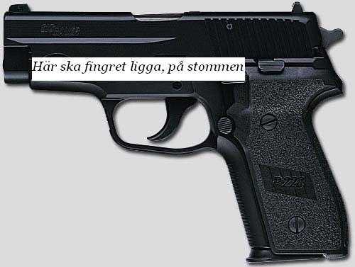 Allmänna råd Av kungörelsen (1969:84) om användande av skjutvapen i polistjänsten följer att varningsskott får avlossas endast om samtliga förutsättningar för verkningseld är uppfyllda.