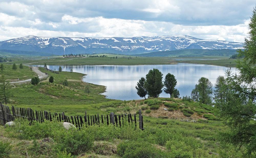 Ulaganplatån. Foto: Jonas Bonnedahl. och vi gjorde halt för att njuta av knölsvärtor, citronärlor, dvärgörn, brun törnskata och annat.