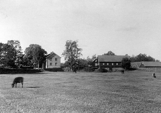 BILDER Då: Ilingetorp 1919. Foto Kalmar läns museum.