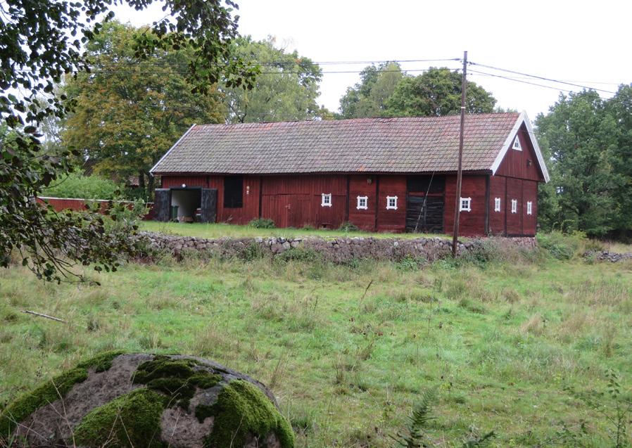 BILDER Äldre vägsträckning med stenmur och