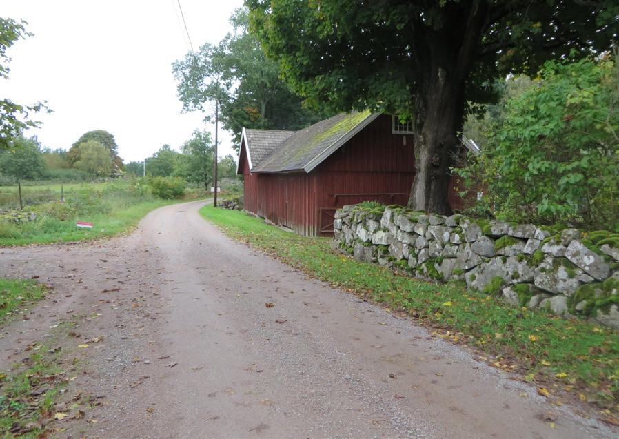 Stenmurar, äldre trästaket och grindar